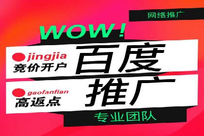 搜索引擎营销（SEM）在电商行业的投放策略案例